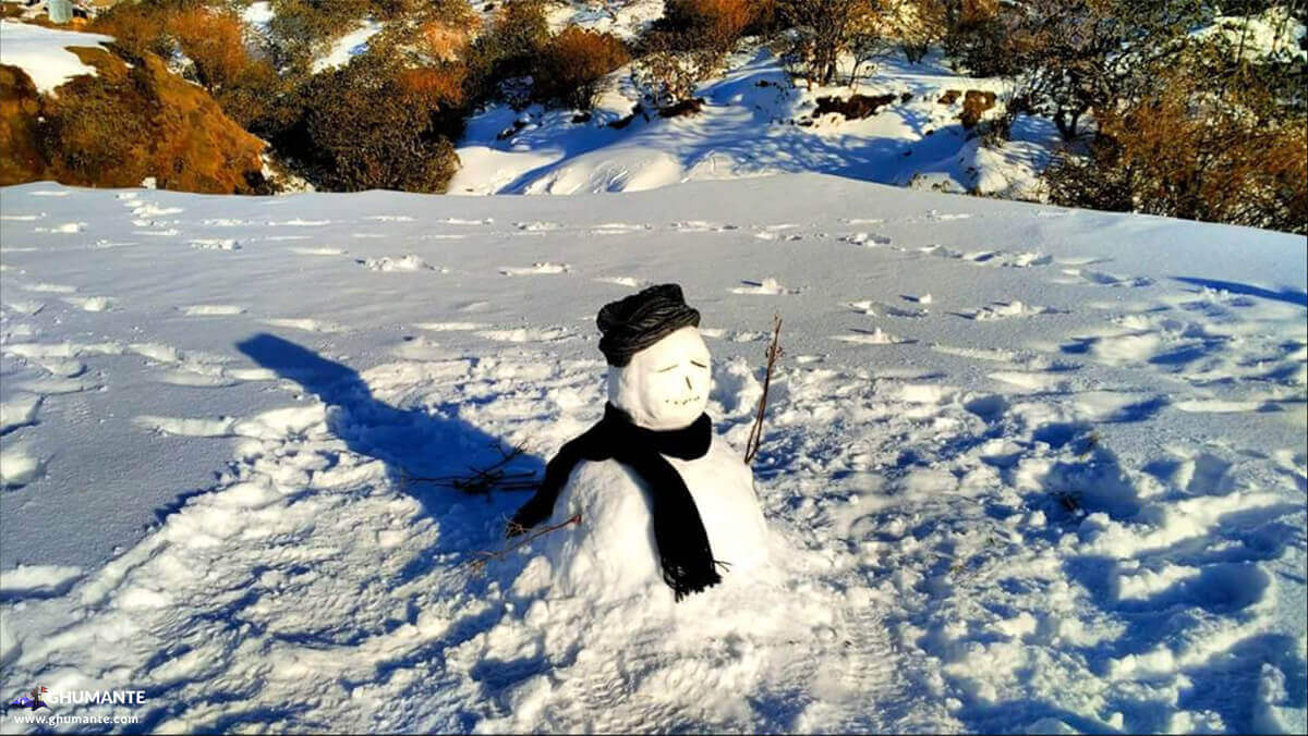 Snowman Alert: Found a snowman on the way!